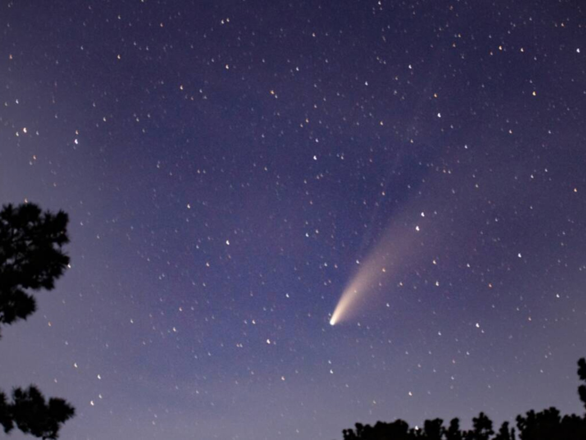Remnants of Halley’s Comet will soon flash their way across the night