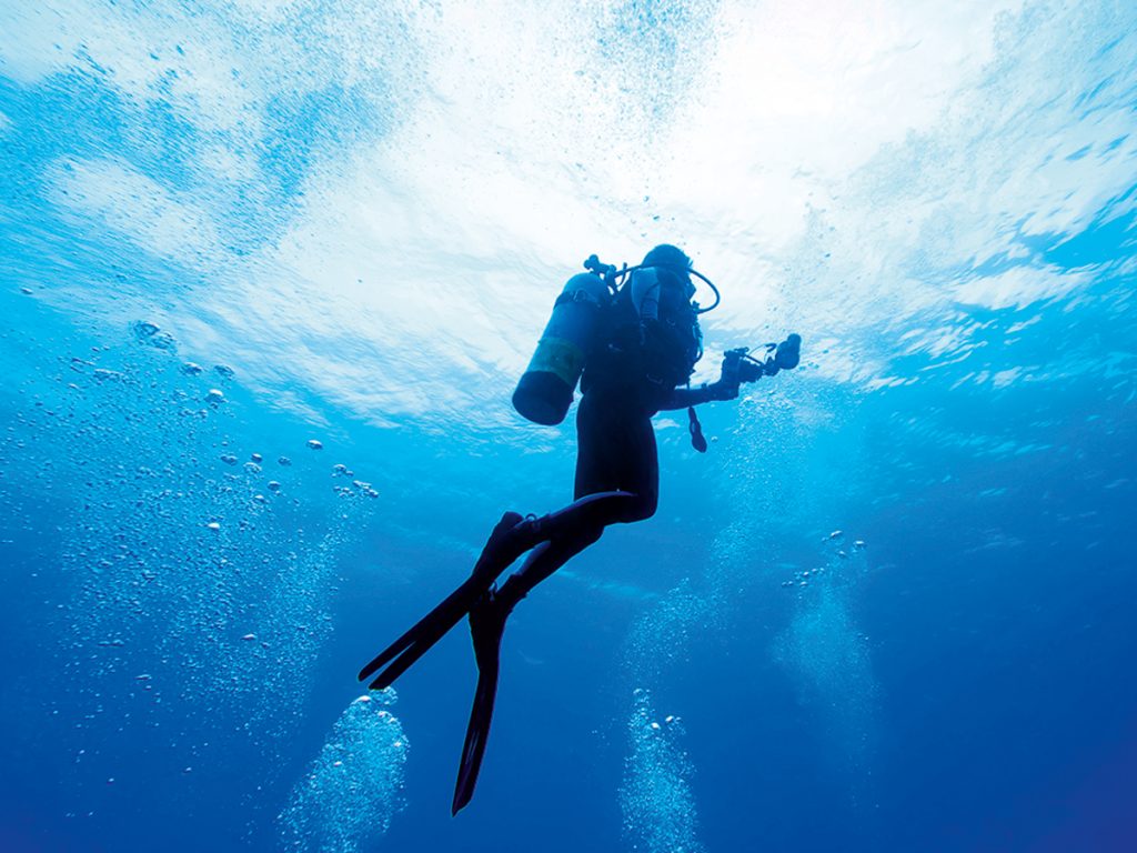 Things to do in Jeddah in spring: scuba diving 